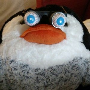 Meet your Posher, Zachary